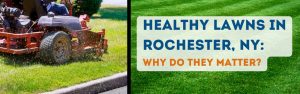 Commercial lawn mower with title, "Healthy Lawns in Rochester, NY: Why Do They Matter?"