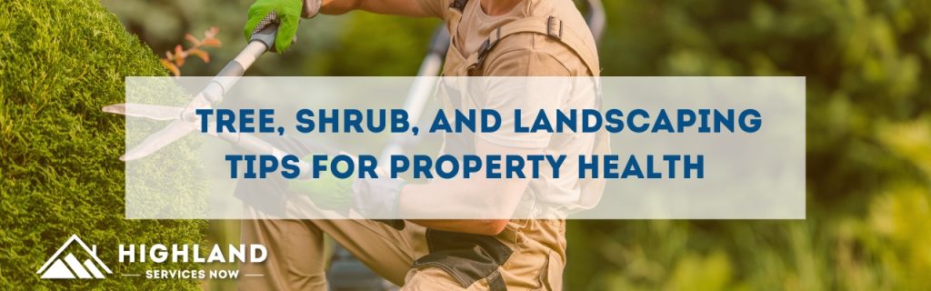 Tree, Shrub, and Landscaping Tips for Property Health
