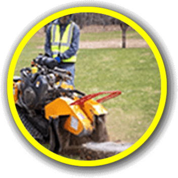 servicing
STUMP REMOVALGET A QUOTE